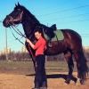 Клуб конного туризма и семейного досуга "Минтака" - последнее сообщение от Минтака